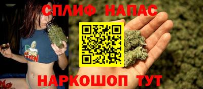 альфа пвп Краснознаменск