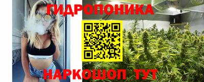 тгк Краснодар